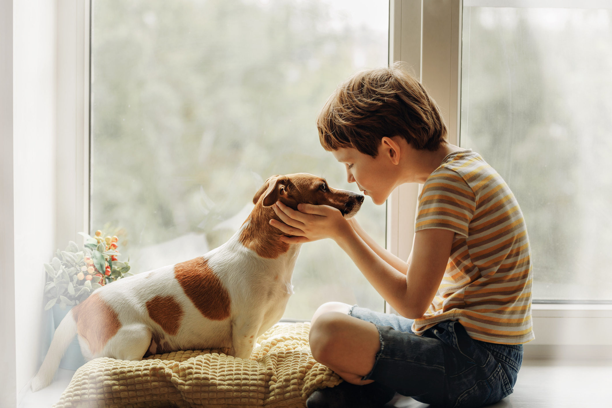 Child playing with dog