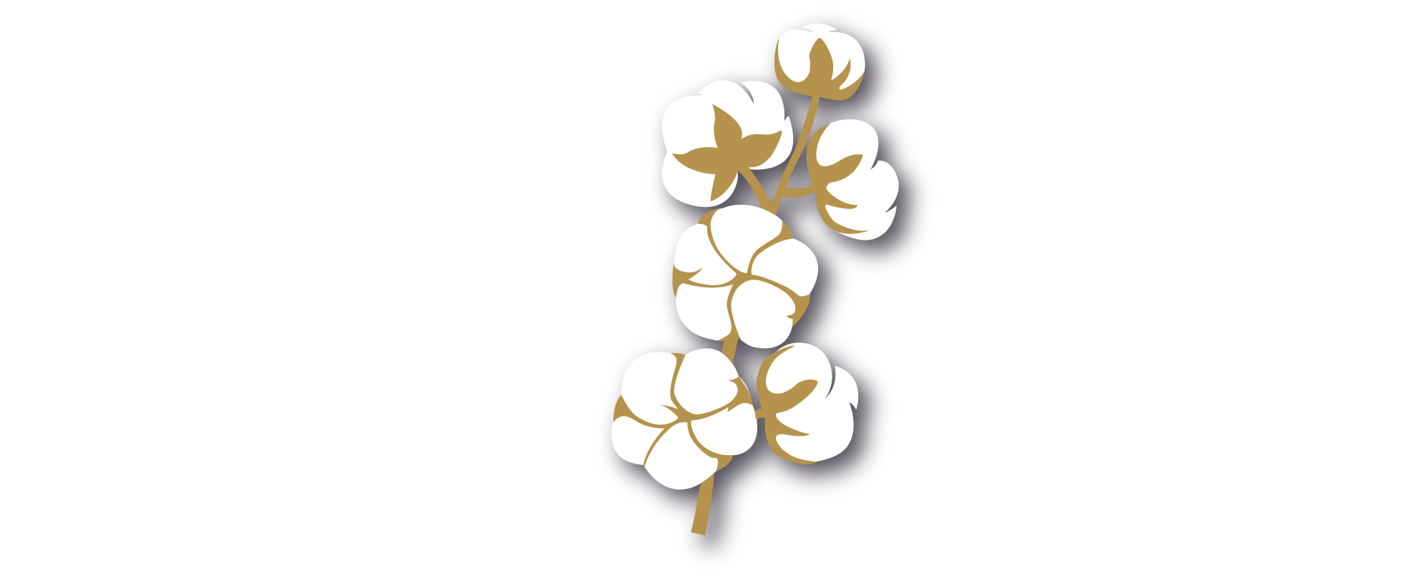 Hayden Farms Logo
